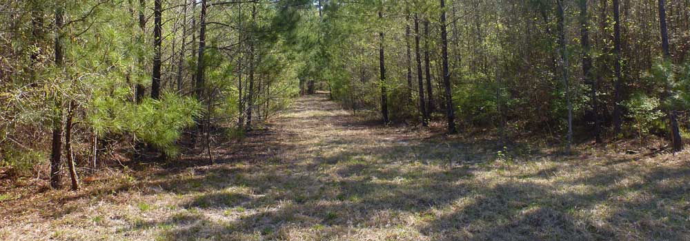 Appraiser Forsyth, Appraisers Cumming Georgia, Eminent domain appraiser, Mitigation bank appraisal, Damages appraiser